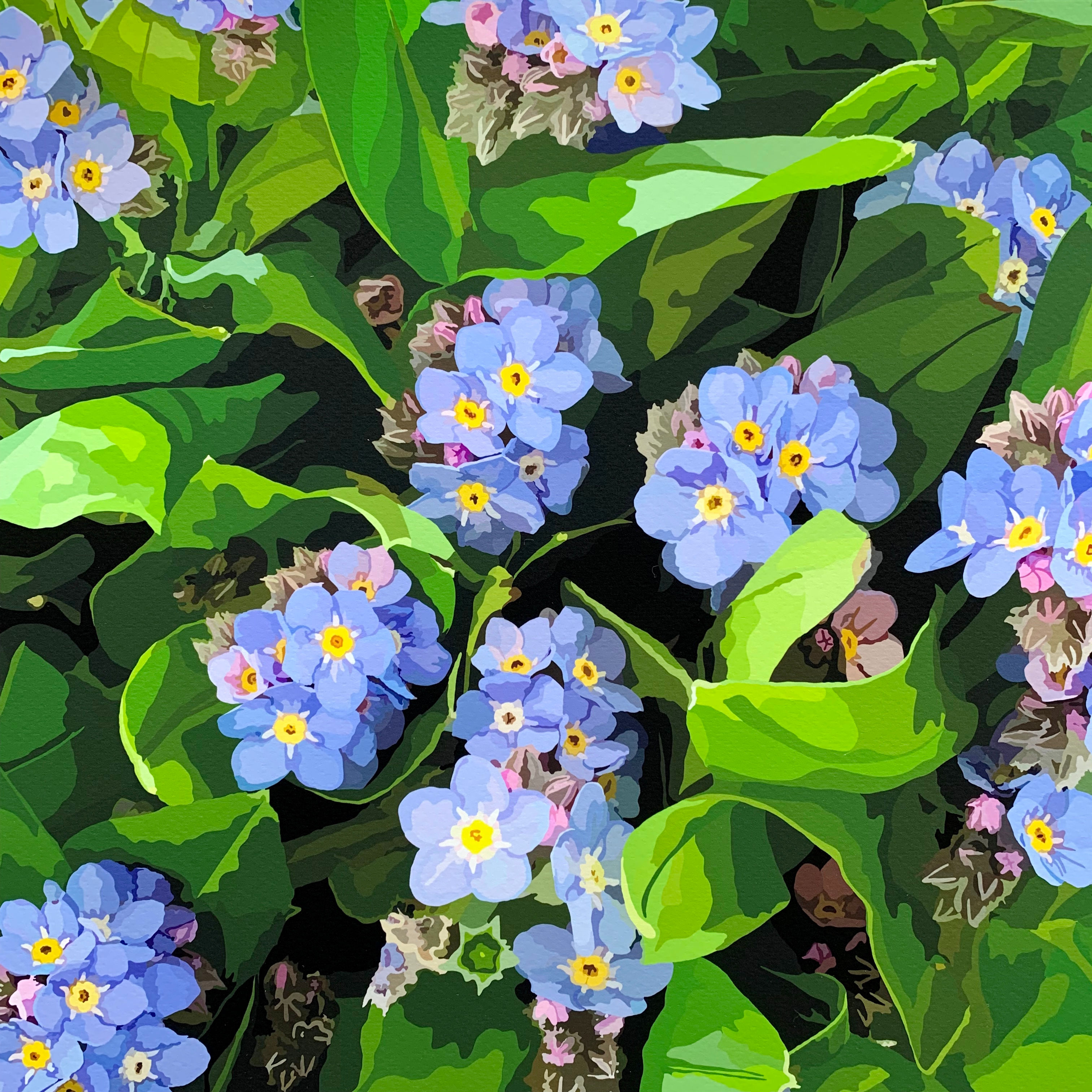 Forget-me-not 2
