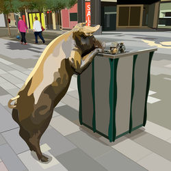 Oliver 2 Rundle Mall