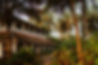 House-1.jpg