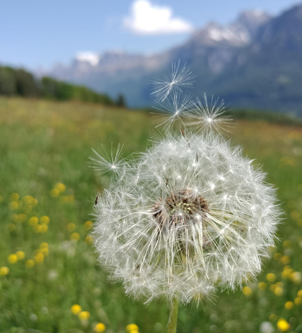 Auszeit zum Thema Atmung
