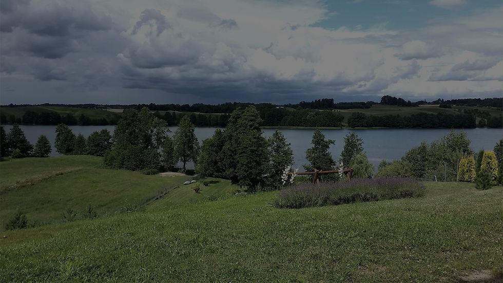 WIDOK_edited.jpg