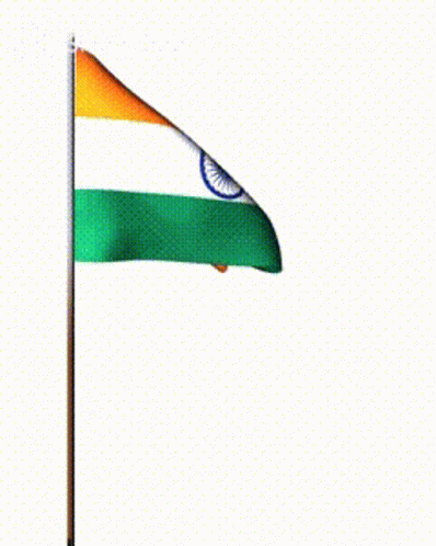 Indian Flag