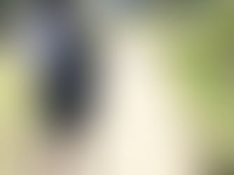 First Clean-up of the Semester