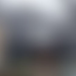 春のお散歩🚶♀️