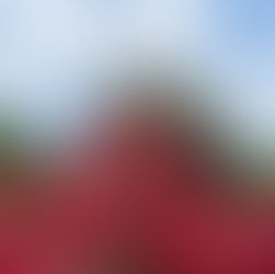 つかの間のオフ🌹