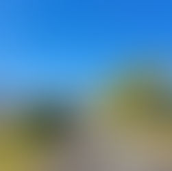 休日の楽しみ vol.2