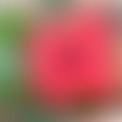 真夏の乗り切り方