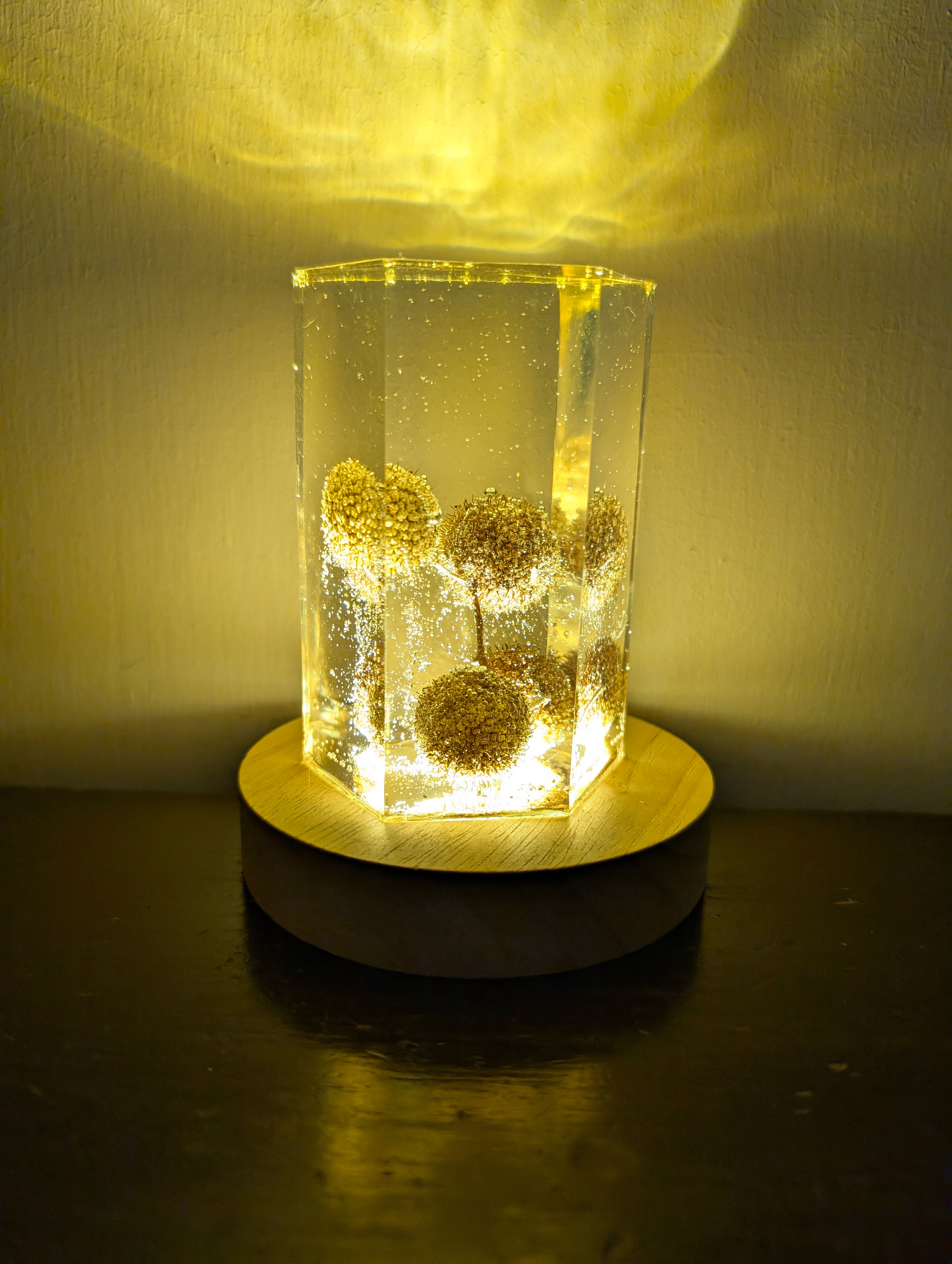 מנורת אפוקסי עם פירות דולב על בסיס עץ בעבודת יד