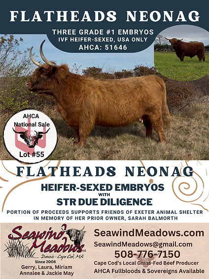 Flatheads Neonag- 2026 NWSS Sale