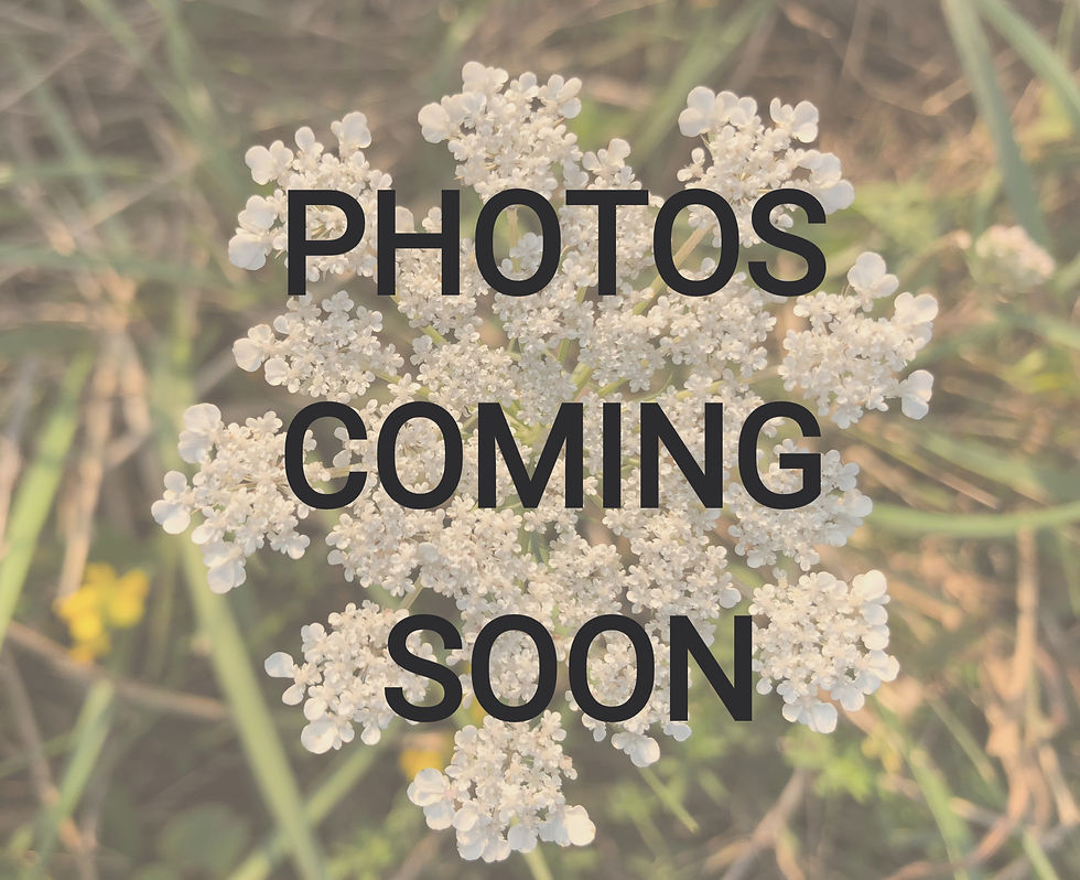 Photos Coming Soon