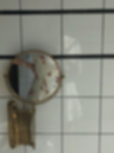 JPEG image-F21D7ACA0F79-10.jpeg