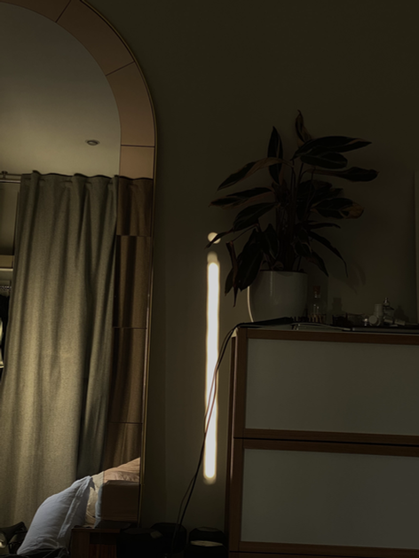 untitled image