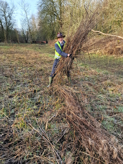 Clearing for Tree Planting.jpg