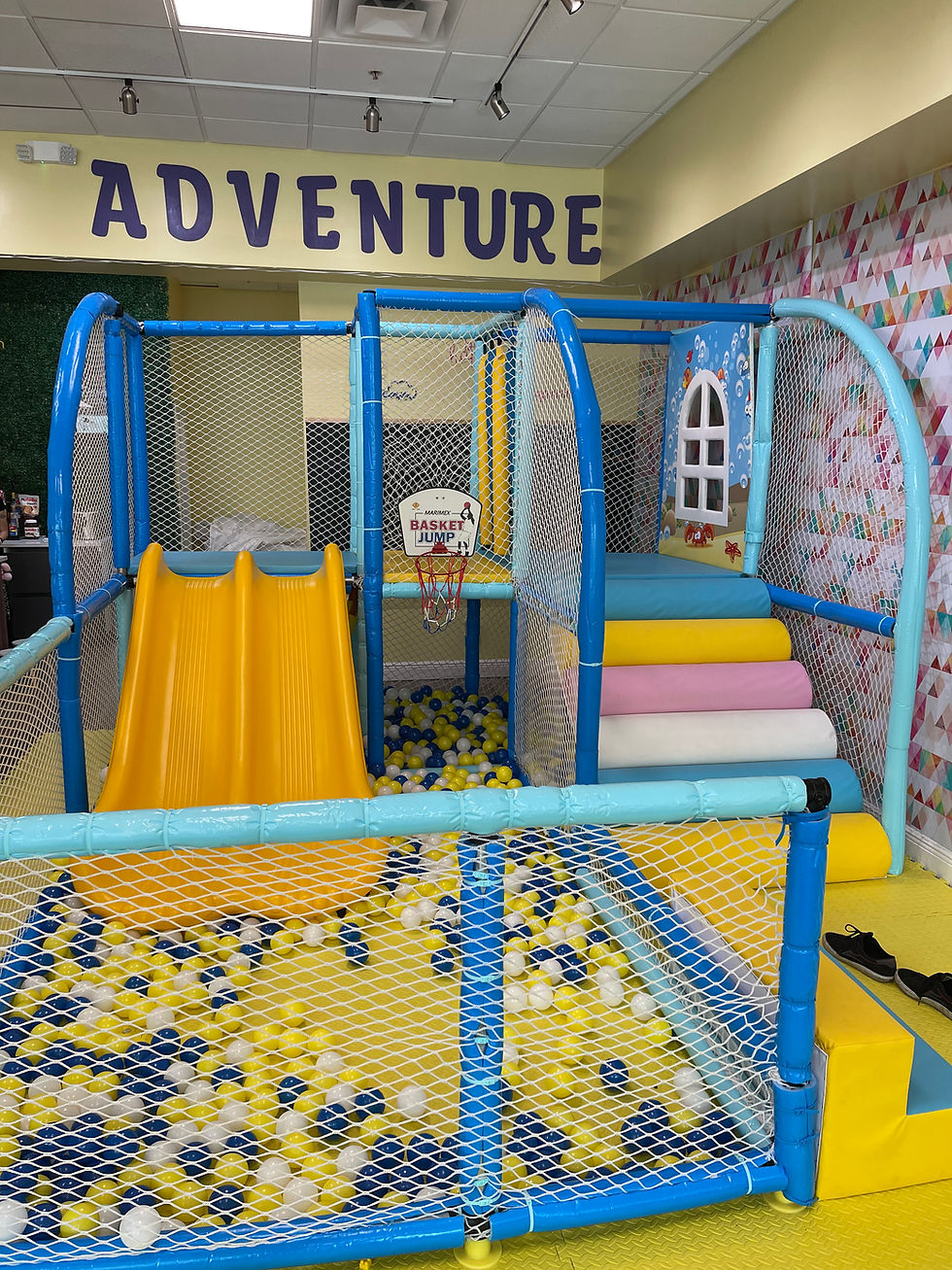 Thumbnail: Like New Indoor Playground 