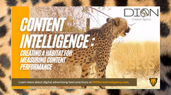 DION-CA_YT_thumb-2 (2)