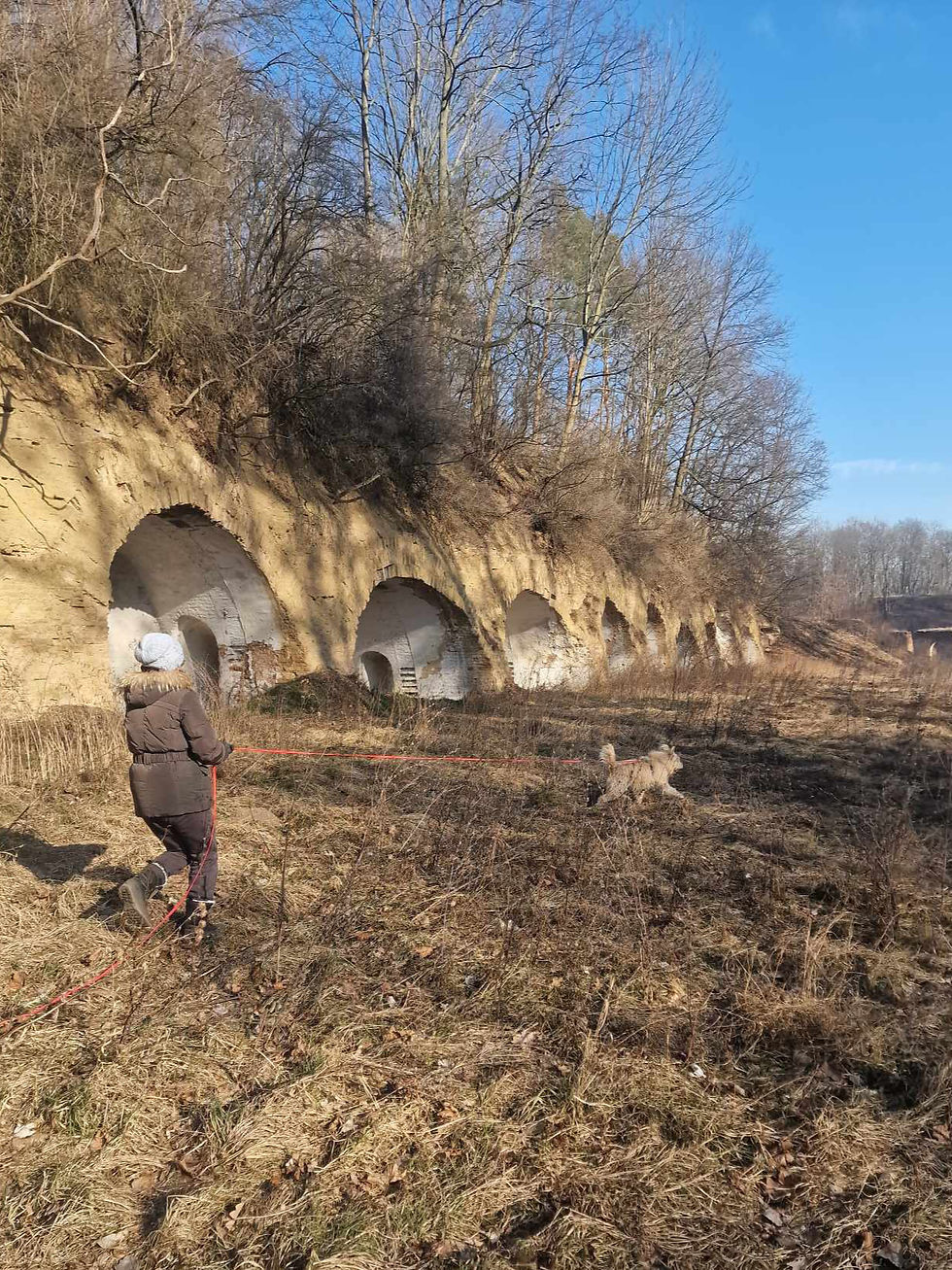 mieszaniec na treningu mantrailing