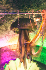 VOYAGES EXTRAORDINAIRESIMG_2504.jpg