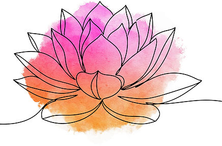 lotus flower