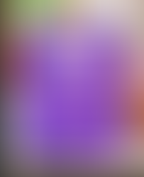 UNGA Healing Arts Week