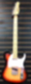 Tagima_TW55SB.jpeg