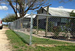 Chain Link Fence - Port Lavaca