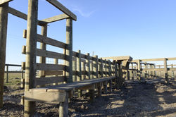 Working Pens - Calhoun County