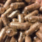 Newport Beach Placenta Encapsulation