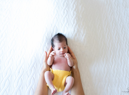 Olivia chegou!