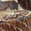 Thumbnail: Amethyst silver bangle 'Devotion' - Gemstone bangle - Boho bangle