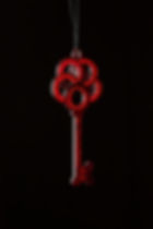 1902-Genny product-645.jpeg
