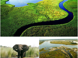 Altijd al de Delta van Botswana willen ontdekken?