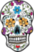 skull.jpeg
