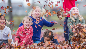 Såg du Uppdrag granskning?