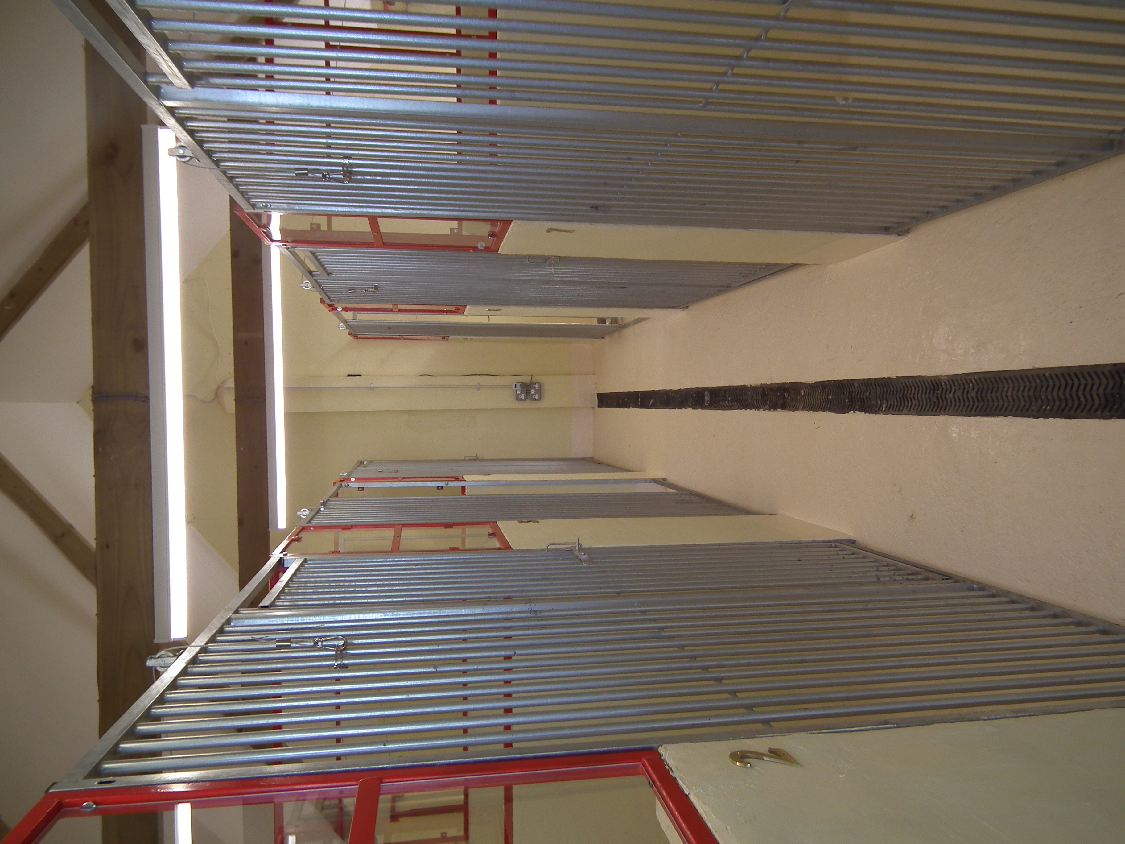 Gallery, Mountain View Boarding Kennels, Llanllwni, Boarding Kennels