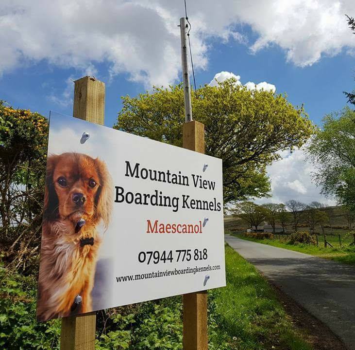 Gallery, Mountain View Boarding Kennels, Llanllwni, Boarding Kennels