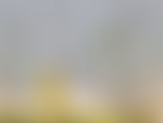 Kreuzstich "Winter im Elfenwald"