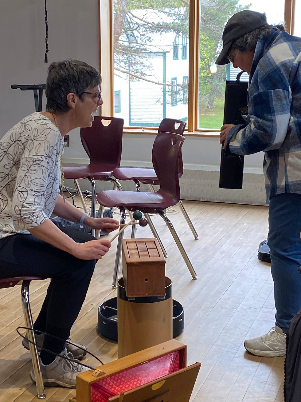 Two people in a room interact; one plays a wooden percussion instrument, the other holds a camera. Window view shows trees and a house.
