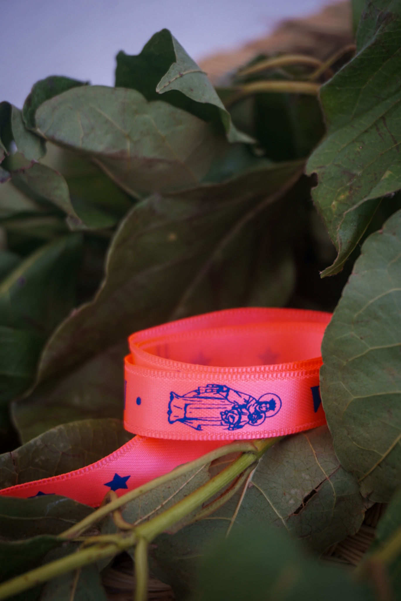 Cinta Escapulario Coche - Rosa Coral Neon