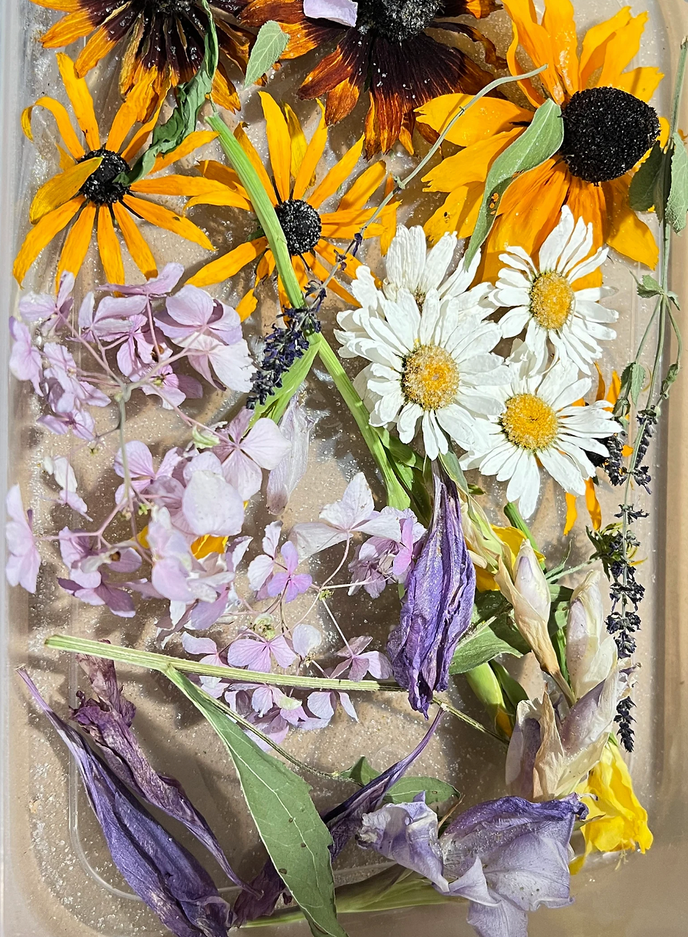 Thumbnail: Fresh Flower Drying Service