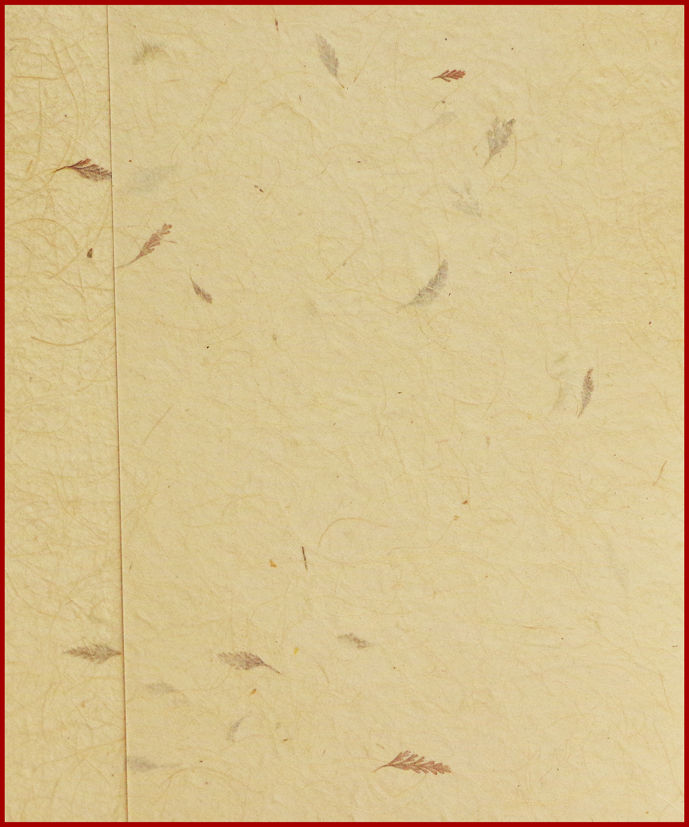 Papel Sisal Samambaia 2