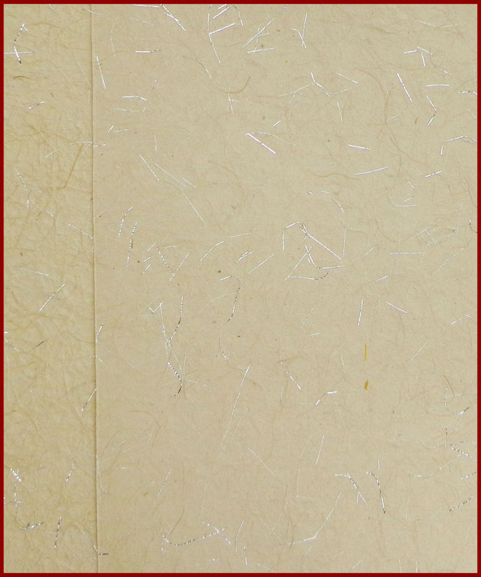 Papel Linhas Prateadas