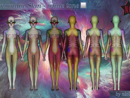 Saturenornian SET by niobe cremisi