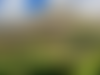 Drawing Board & Merlot 2019 Release