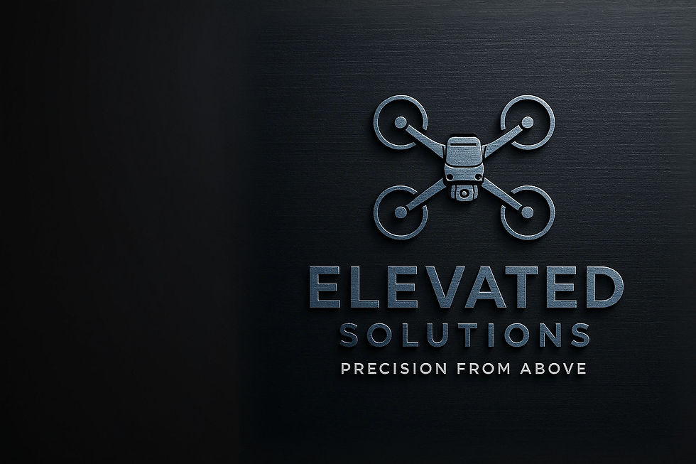Elevated Solutions Logo_edited.jpg