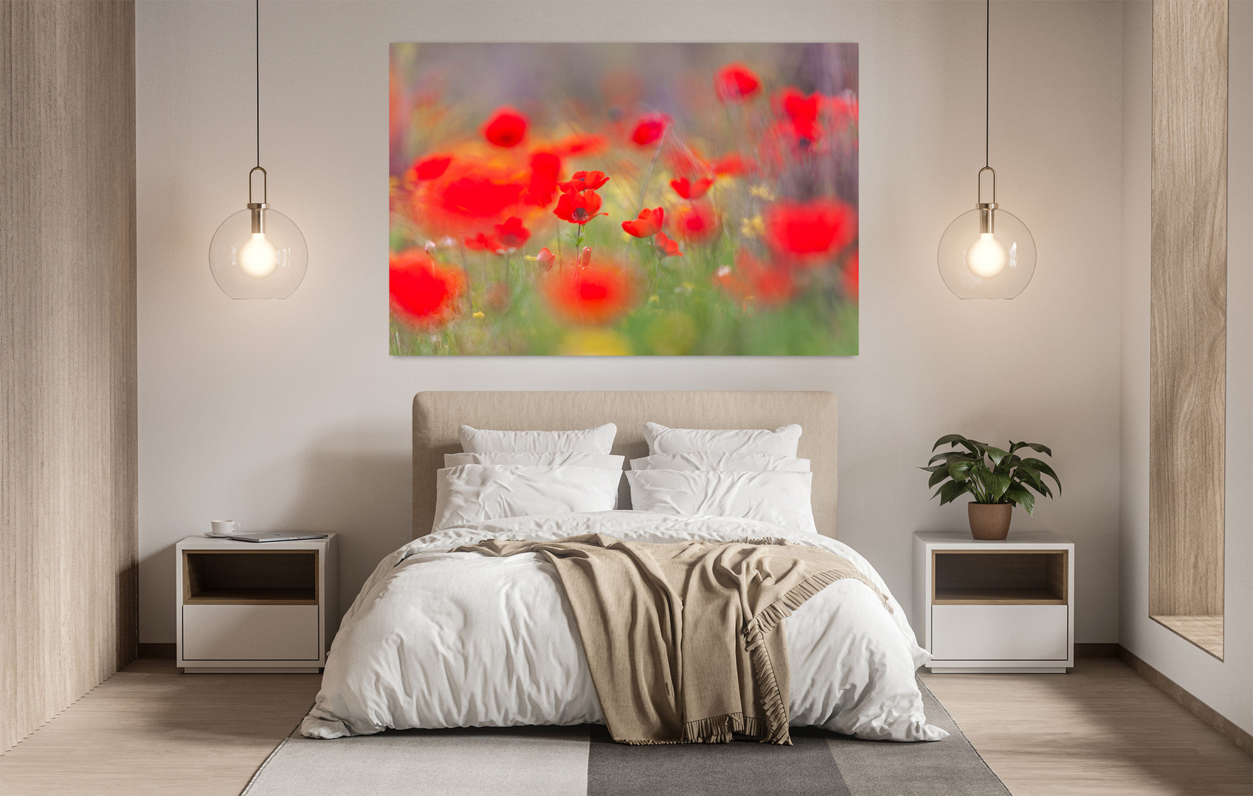 Fields of Splendor, Anemones in Full Bloom