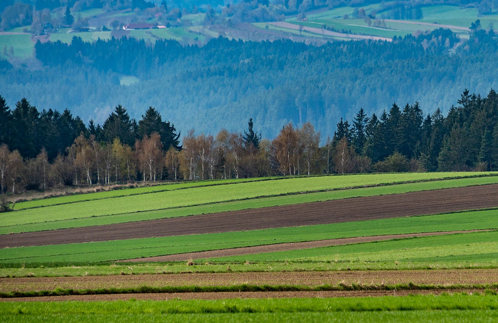 AL22_04_czech_03639