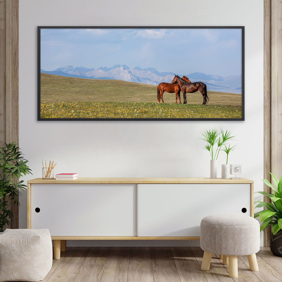 Thumbnail: Wild Horses, Kirgizstan