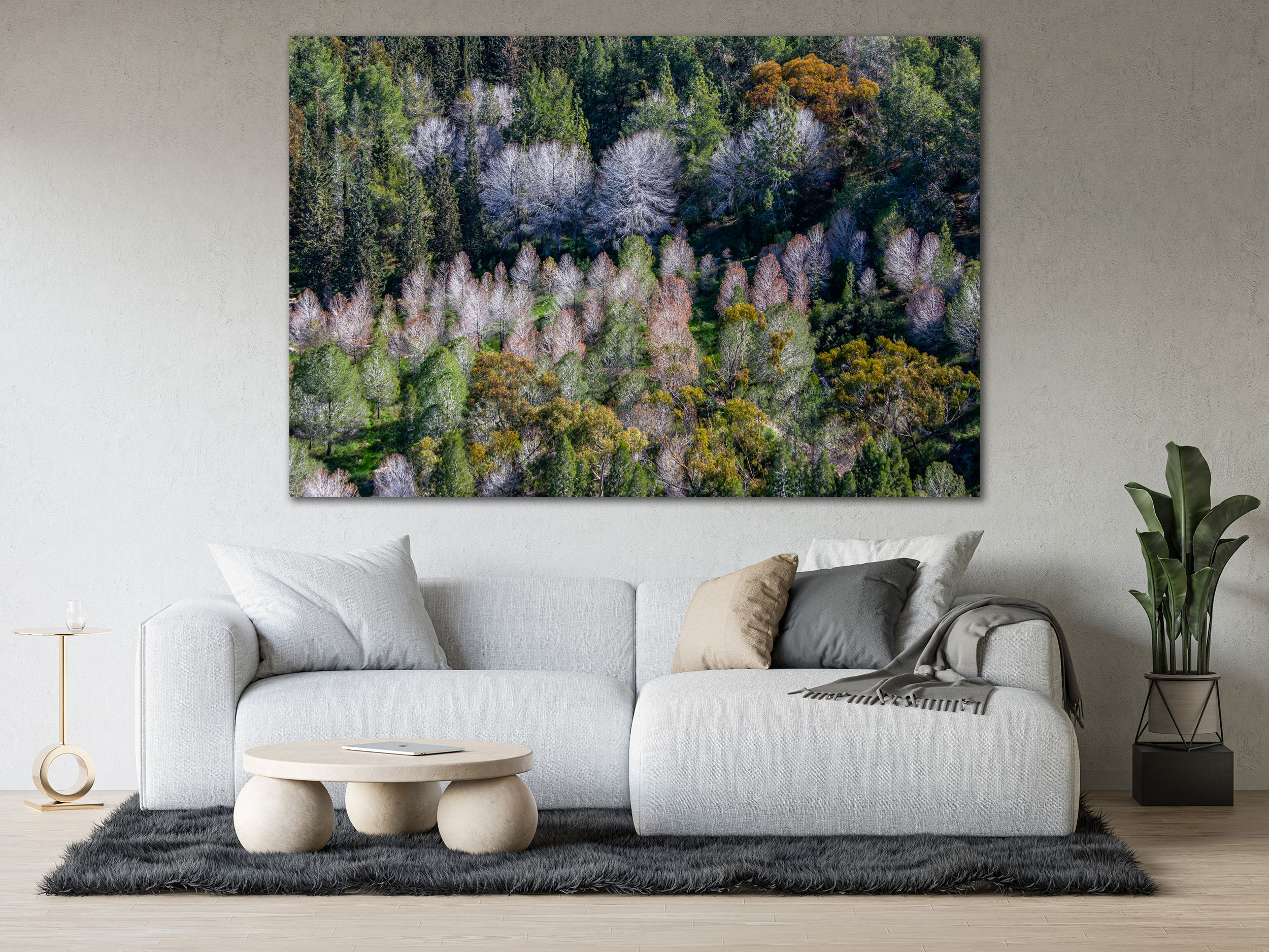 יער, טבע ישראלי