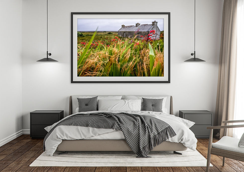 Thumbnail: Vacation Cabin Ireland Green Fields