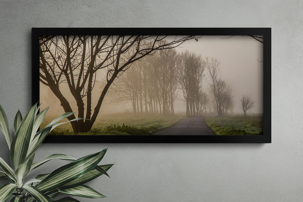 Thumbnail: Galilee, Israel